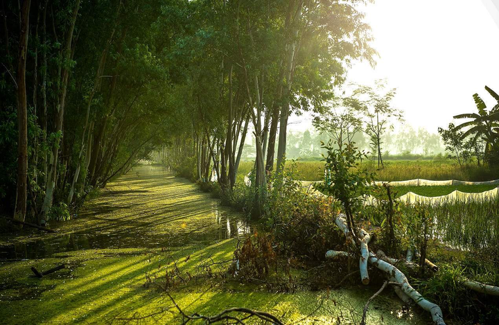 Ngoài Đường Lâm, Hà Nội còn có ngôi làng cổ hơn 100 tuổi cũng đẹp không kém - 1