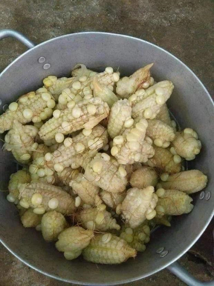 Cô gái tốn 70k tiền ship để mua ngô, nhận hàng xong nhìn mà giật mình - 1