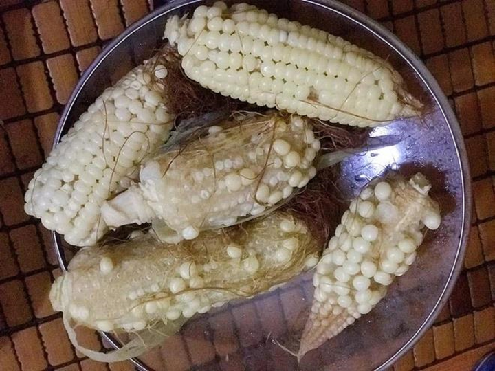 Cô gái tốn 70k tiền ship để mua ngô, nhận hàng xong nhìn mà giật mình - 2