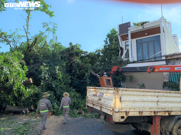 Cận cảnh cây đa hơn 200 năm tuổi bật gốc, đè chết người - 8