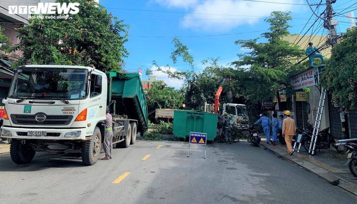 Cận cảnh cây đa hơn 200 năm tuổi bật gốc, đè chết người - 7