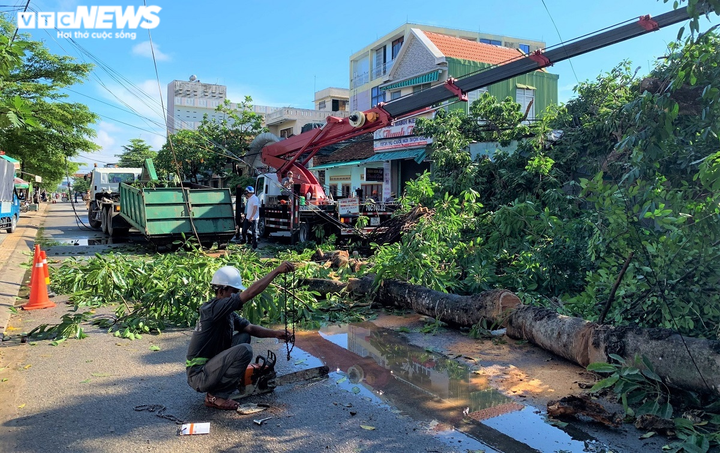 Cận cảnh cây đa hơn 200 năm tuổi bật gốc, đè chết người - 1