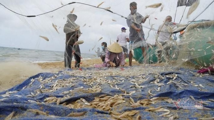 Tắm biển, du lịch, ra khơi sau tháng ngày dài chống dịch COVID-19 - 4