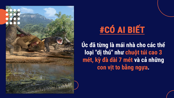 Có ai biết: Thủ đô của Úc ở đâu và lý do Úc chọn chuột túi làm biểu tượng là gì? - 5