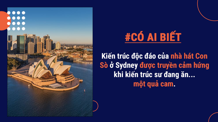Có ai biết: Thủ đô của Úc ở đâu và lý do Úc chọn chuột túi làm biểu tượng là gì? - 3
