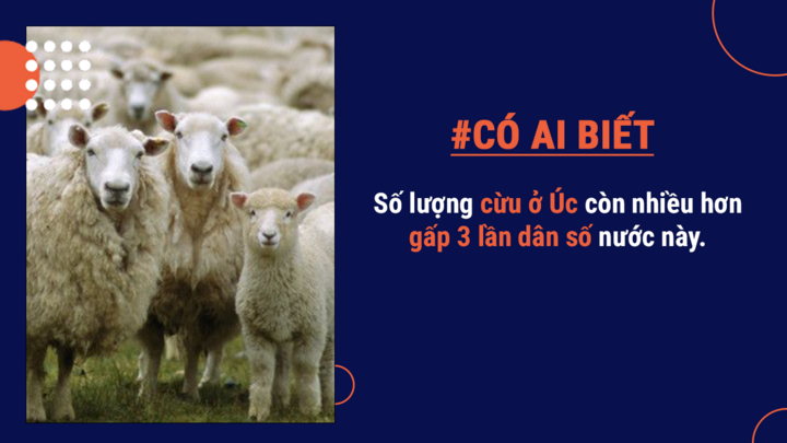 Có ai biết: Thủ đô của Úc ở đâu và lý do Úc chọn chuột túi làm biểu tượng là gì? - 8