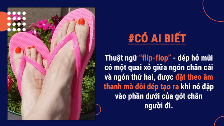 Có ai biết: Gọi là dép Lào có phải vì loại dép này bắt nguồn từ nước Lào? - 7