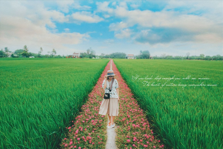 Con đường hoa mười giờ độc đáo ở miền Tây, mộc mạc nhưng vẫn hút mắt - 7