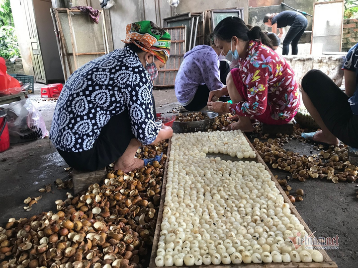 Đặc sản nhãn Hưng Yên mất mùa, giá rẻ hơn rau - 5