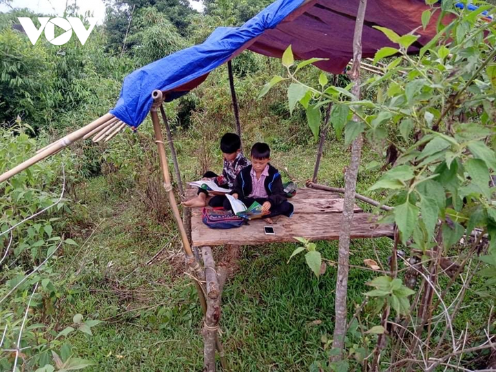 Học trò vùng cao đùm cơm, đi bộ hàng chục cây số 'hứng sóng' học online - 3