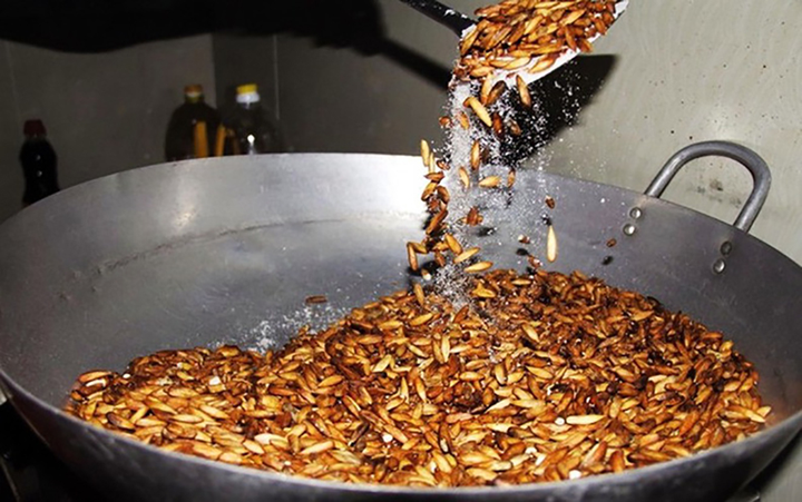 Hạt bàng - quà vặt của học sinh ngày xưa, nay được 'săn đón' với giá nửa triệu - 4