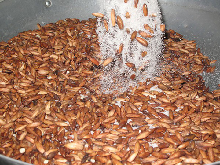 Hạt bàng - quà vặt của học sinh ngày xưa, nay được 'săn đón' với giá nửa triệu - 5