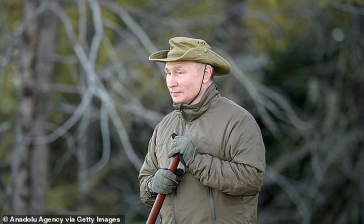 Điện Kremlin: Gấu Siberia lại rất gần lều Tổng thống Putin - 2