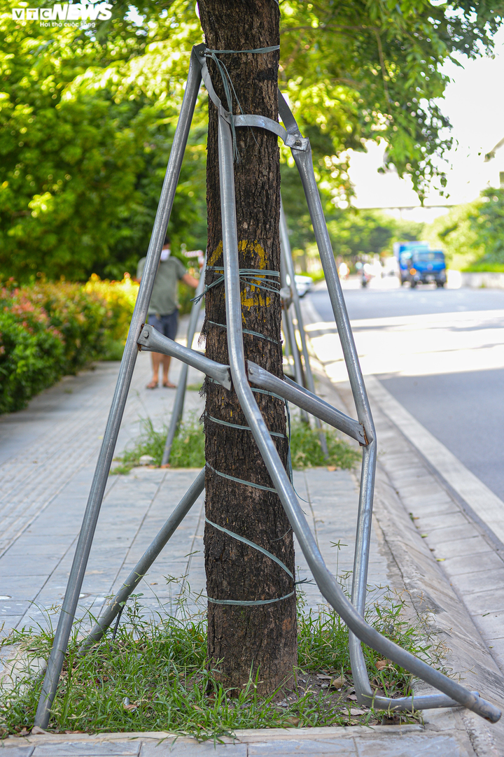 Hà Nội: Hiểm hoạ khôn lường từ những chiếc 'gông sắt' chống đỡ hơn 400 cây xanh - 7