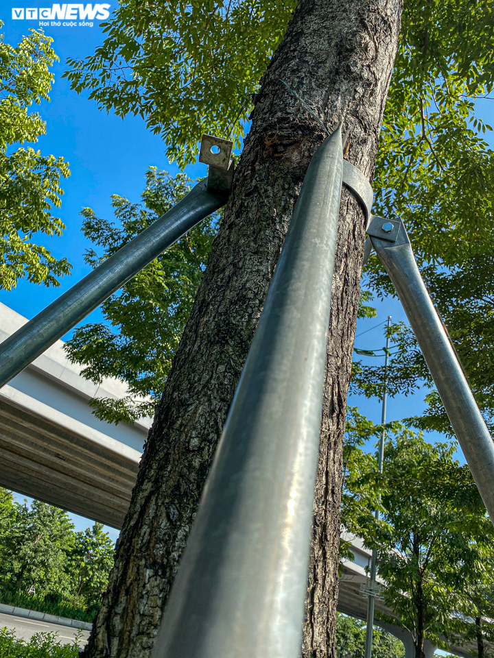 Hà Nội: Hiểm hoạ khôn lường từ những chiếc 'gông sắt' chống đỡ hơn 400 cây xanh - 4