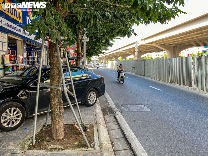 Hà Nội: Hiểm hoạ khôn lường từ những chiếc 'gông sắt' chống đỡ hơn 400 cây xanh - 8