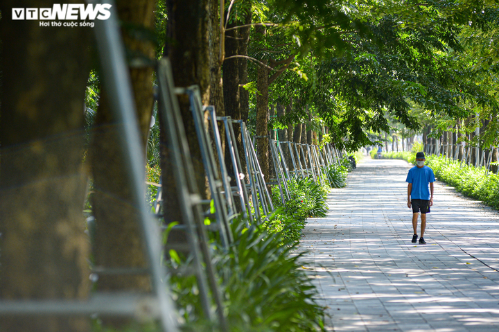 Hà Nội: Hiểm hoạ khôn lường từ những chiếc 'gông sắt' chống đỡ hơn 400 cây xanh - 1