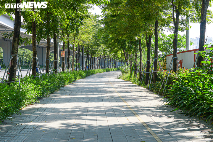 Hà Nội: Hiểm hoạ khôn lường từ những chiếc 'gông sắt' chống đỡ hơn 400 cây xanh - 10