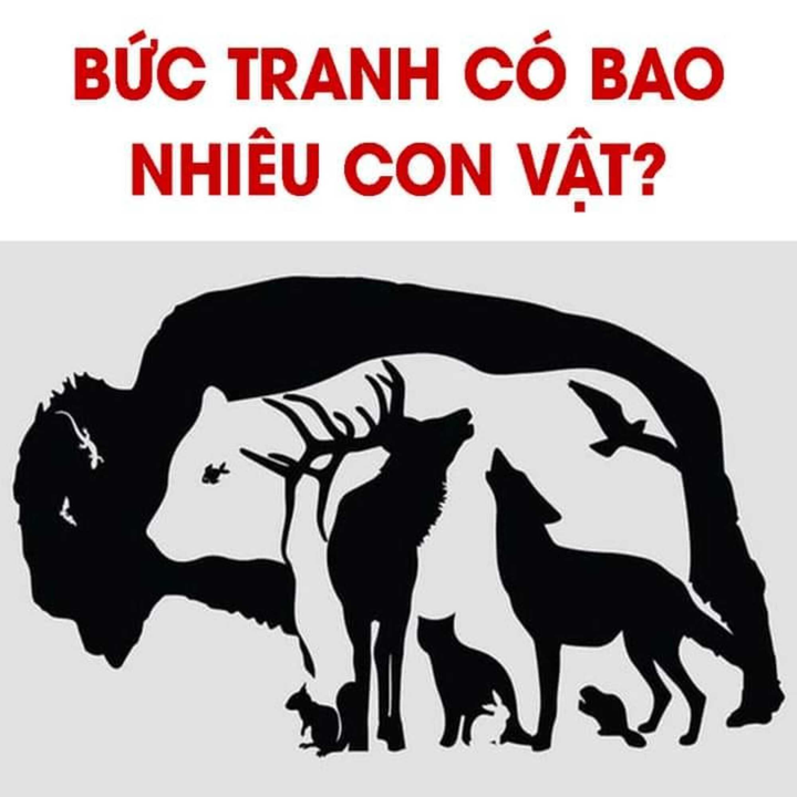 Câu đố đơn giản nhưng cho ra nhiều đáp án: Bạn nhìn thấy bao nhiêu con vật? - 1
