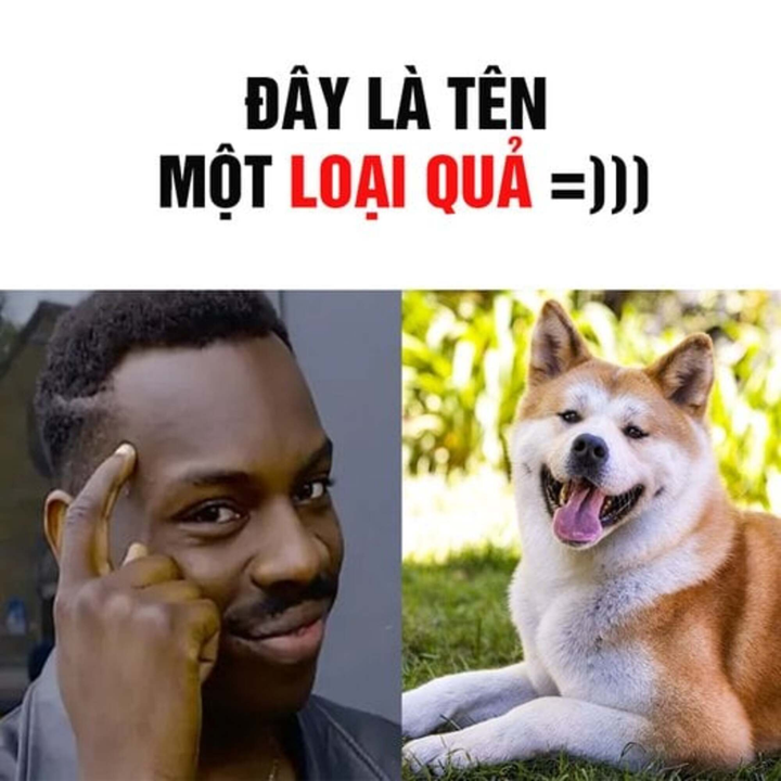 Đuổi hình bắt chữ: Bạn có thể tìm ra đáp án trong vòng 1 phút không? - 1