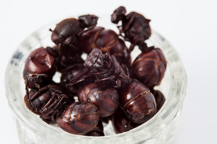 Món kiến 'mông to' kinh dị bậc nhất, người dân vẫn nhai rôm rốp thay cơm - 2