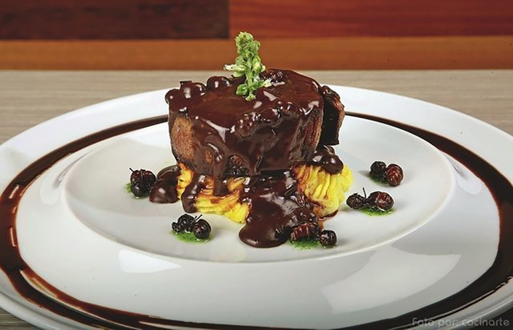 Món kiến 'mông to' kinh dị bậc nhất, người dân vẫn nhai rôm rốp thay cơm - 5