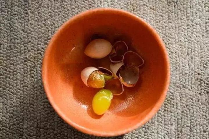 Anh chàng kỳ lạ chỉ đi làm 2 ngày/tuần để hạnh phúc, tìm ăn quả dại vì tiết kiệm - 3