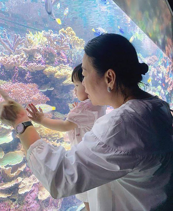 Mẹ chồng quyền lực của sao Việt: Nhà Hà Tăng 'nức tiếng' giới kinh doanh - 2