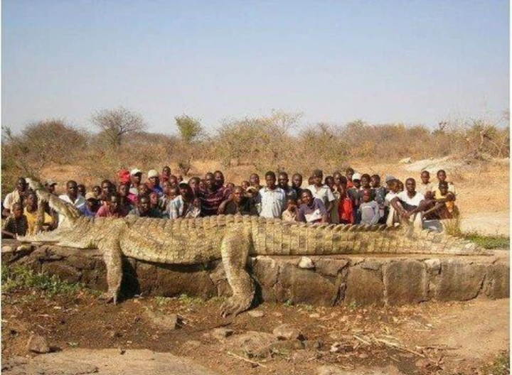 Tròn mắt với loạt ảnh như bước ra từ phim 'Thượng đế cũng phải cười' - 1