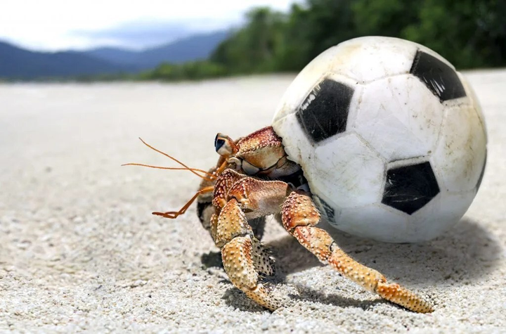 Ô nhiễm rác thải nhựa đại dương: Chỉ nhìn thôi cũng thấy 'đau tim' - 8