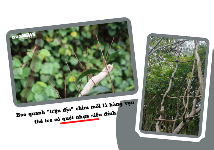 Thâm nhập vùng đất giăng ‘thiên la địa võng’ tận diệt chim trời - 3