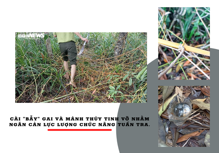 Thâm nhập vùng đất giăng ‘thiên la địa võng’ tận diệt chim trời - 4