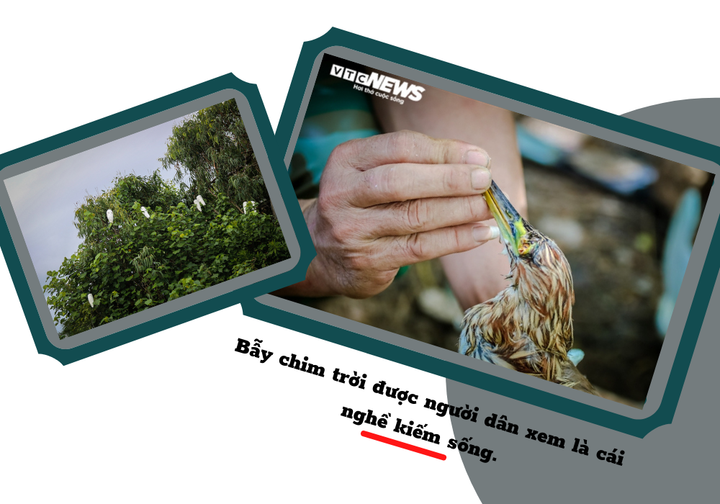 Thâm nhập vùng đất giăng ‘thiên la địa võng’ tận diệt chim trời - 7