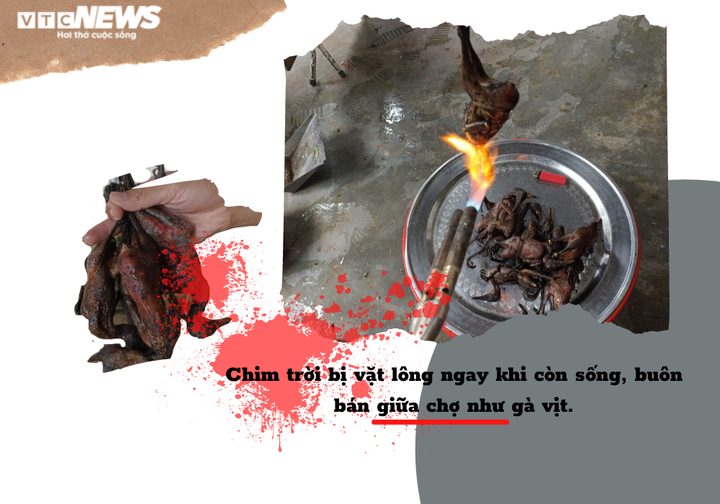 Thâm nhập vùng đất giăng ‘thiên la địa võng’ tận diệt chim trời - 8