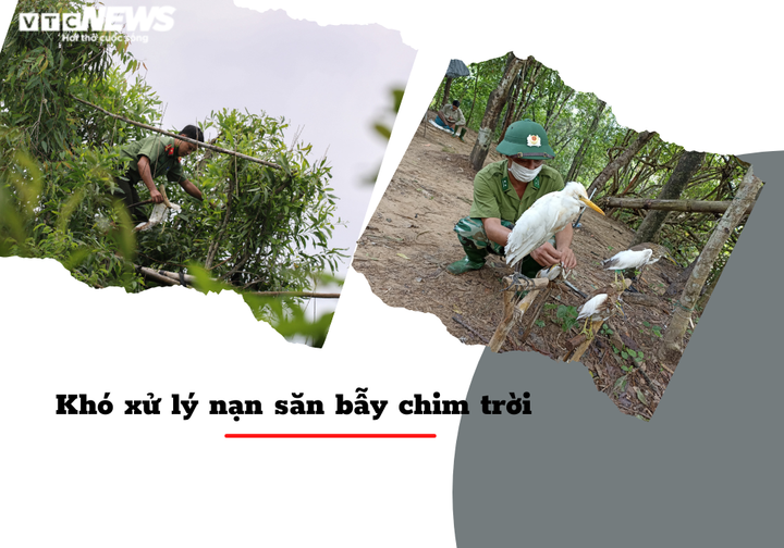 Thâm nhập vùng đất giăng ‘thiên la địa võng’ tận diệt chim trời - 10