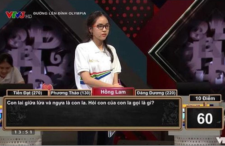 Câu hỏi đánh đố từ Đường lên đỉnh Olympia: Con của con la gọi là gì? - 1