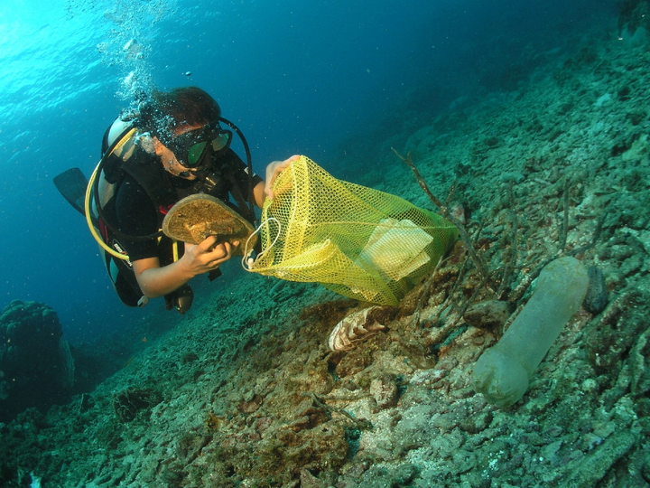 Ô nhiễm rác thải nhựa đại dương: Chỉ nhìn thôi cũng thấy 'đau tim' - 7