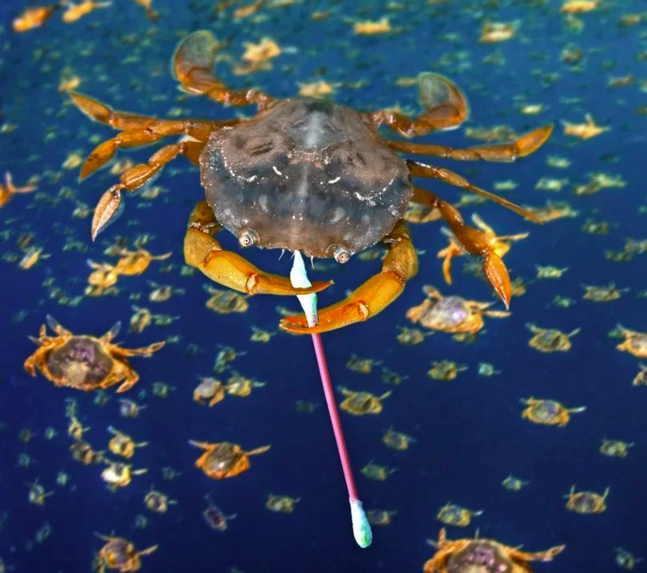 Ô nhiễm rác thải nhựa đại dương: Chỉ nhìn thôi cũng thấy 'đau tim' - 4