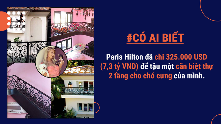 Có ai biết: Những trò tiêu tiền ‘điên rồ’ của giới siêu giàu với giá không tưởng - 4