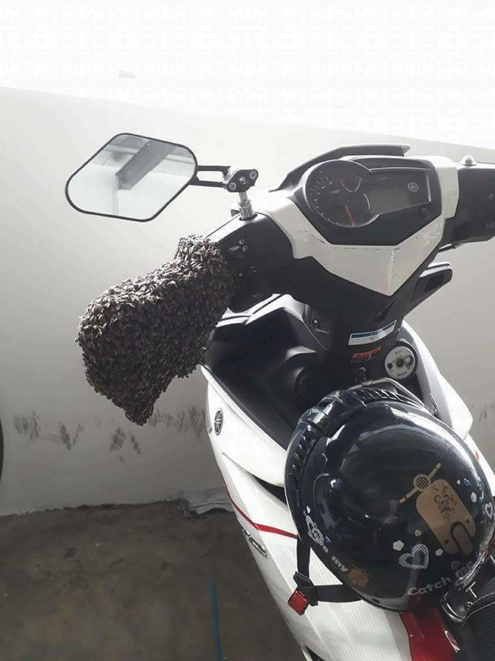 Hi hữu: Xe máy để lâu không chạy, đến ngày đi lại gặp cảnh 'khóc thét' thế này - 1