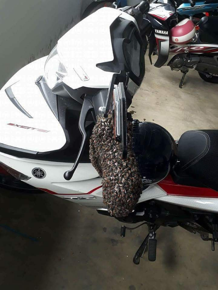 Hi hữu: Xe máy để lâu không chạy, đến ngày đi lại gặp cảnh 'khóc thét' thế này - 2