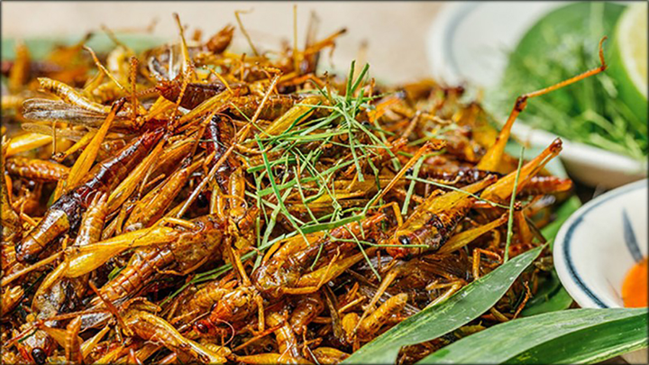 Đến Yên Bái 'tròn mắt' xem người dân mang toàn côn trùng chế biến thành đặc sản - 1