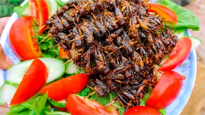 Đến Yên Bái 'tròn mắt' xem người dân mang toàn côn trùng chế biến thành đặc sản - 2