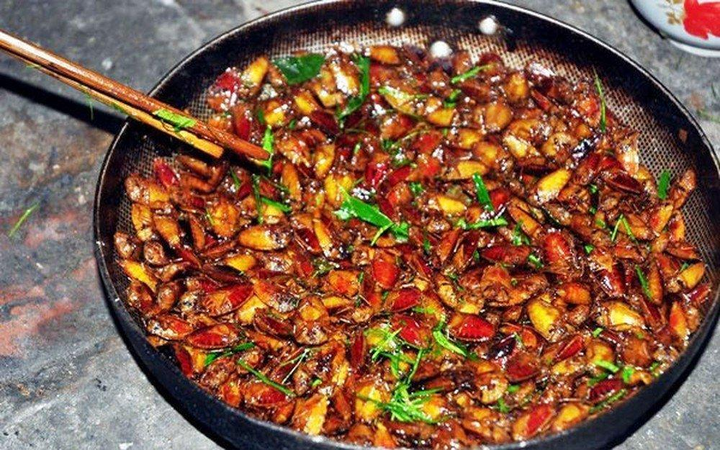 Đến Yên Bái 'tròn mắt' xem người dân mang toàn côn trùng chế biến thành đặc sản - 4