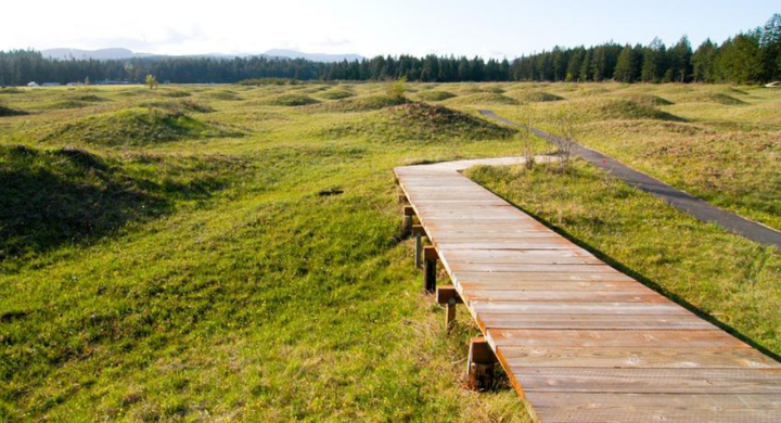 Bí ẩn vùng đất tự mọc lên hàng nghìn nấm mồ khiến khoa học cũng ‘bó tay’ - 5