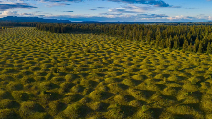 Bí ẩn vùng đất tự mọc lên hàng nghìn nấm mồ khiến khoa học cũng ‘bó tay’ - 1