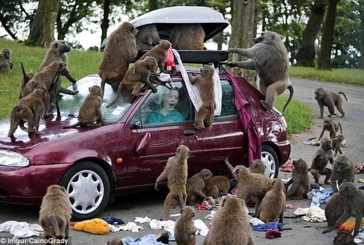 Những sự cố khó hiểu khiến người nhìn vừa thương vừa không nhịn được cười - 5