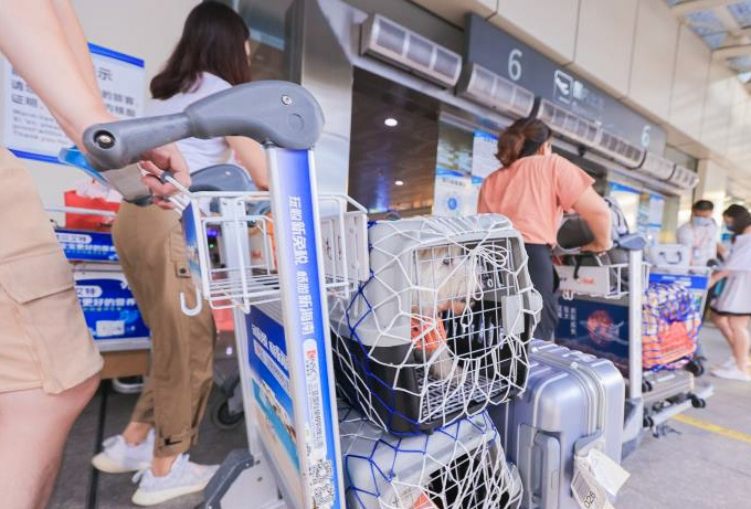 Trào lưu đưa thú cưng đi du lịch ở Trung Quốc - 2