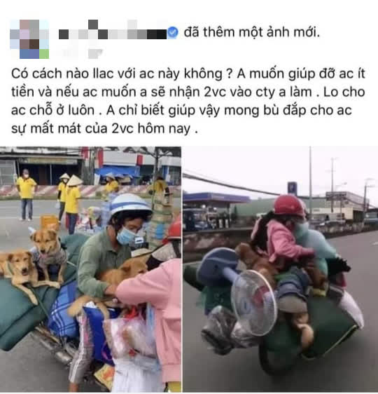 Chủ đàn chó bị tiêu hủy ở Cà Mau được 'đại gia' hỗ trợ tiền, hứa giúp việc làm - 1