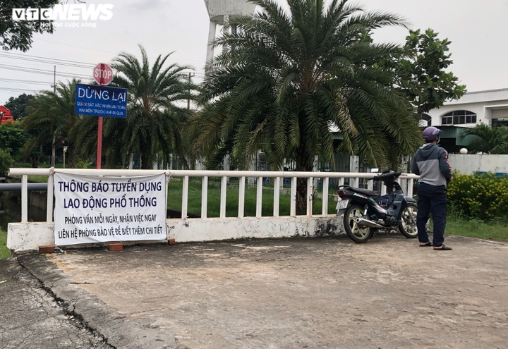 TP.HCM mời, lao động ngoại tỉnh muốn quay lại vẫn gặp khó - 5